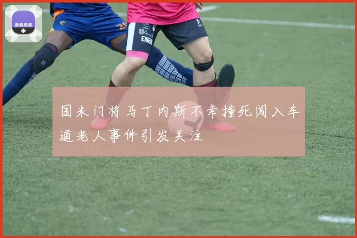 国米门将马丁内斯不幸撞死闯入车道老人事件引发关注